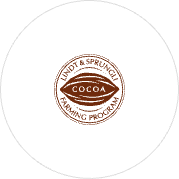 icon expert